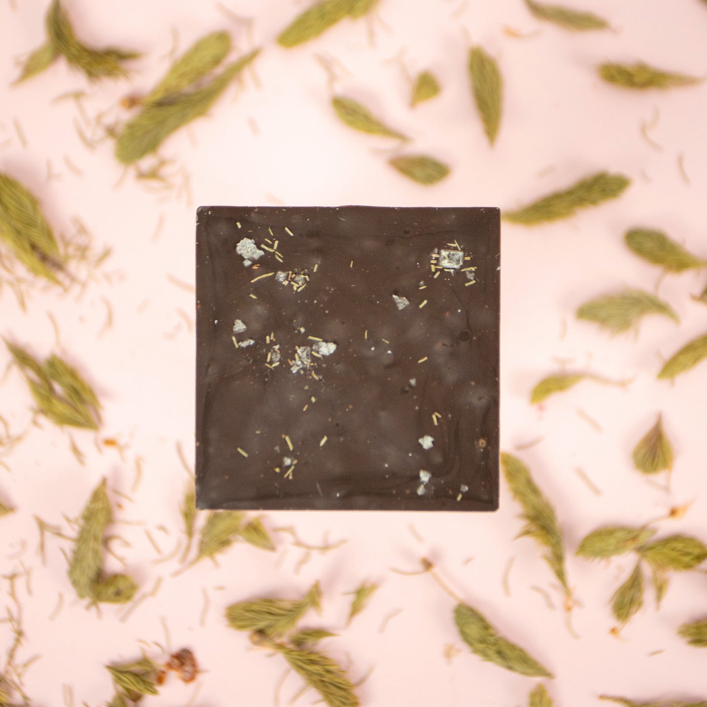 forest chocolate bar