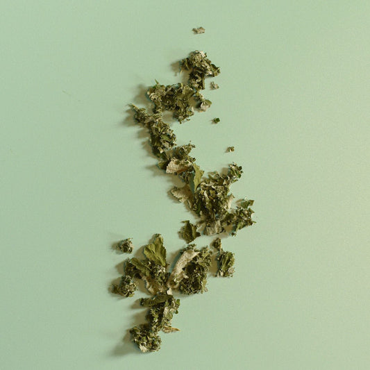 Framboisier, feuille