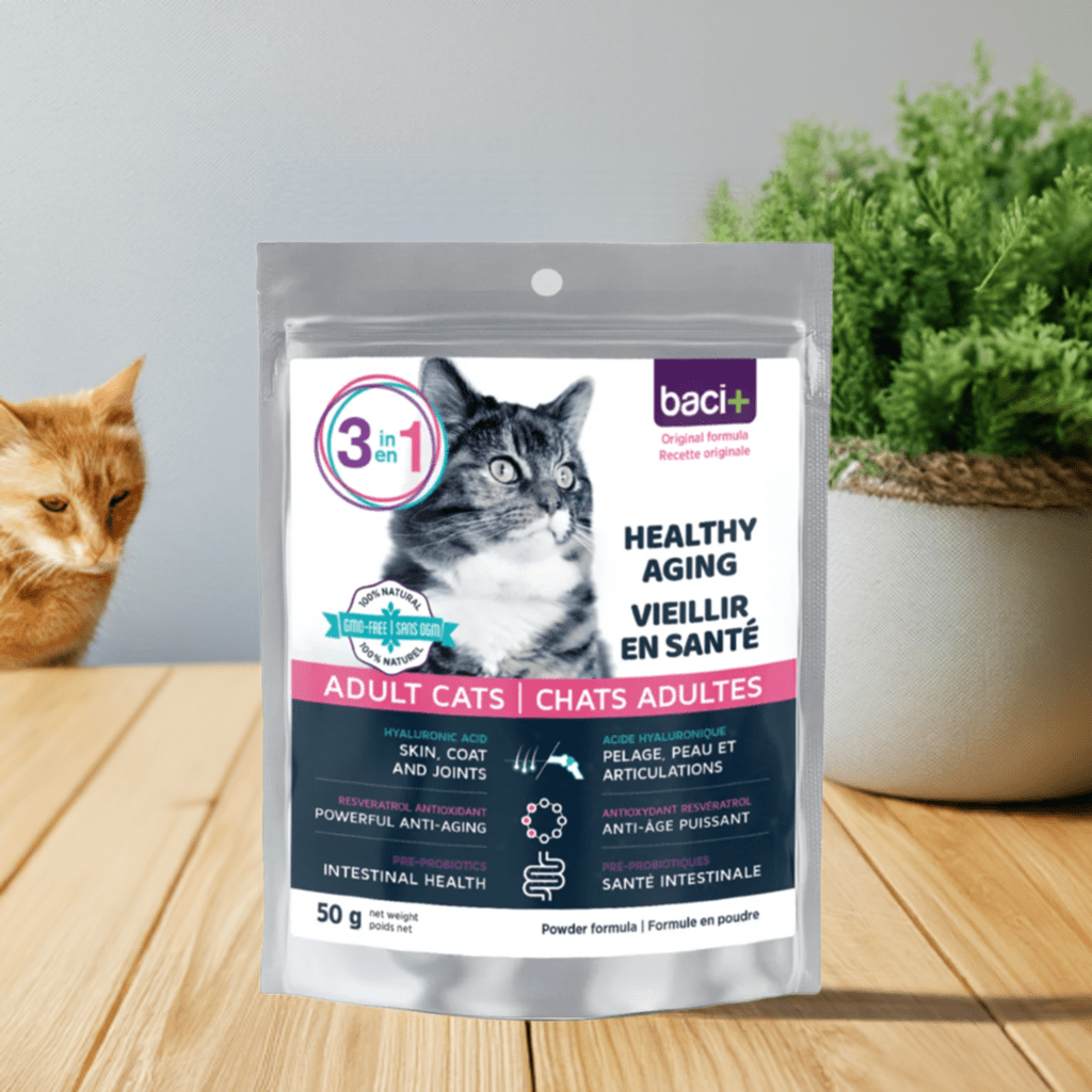 3en1 – Soutien Articulaire, Digestif & Cardiaque pour Chats Seniors