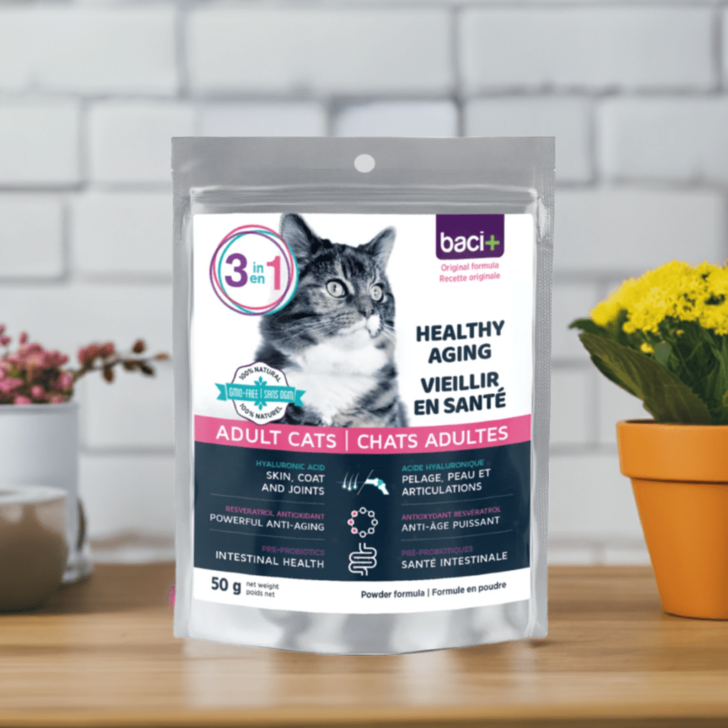 3en1 – Soutien Articulaire, Digestif & Cardiaque pour Chats Seniors
