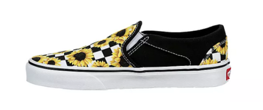 Vans Asher - Kids Slip-On Shoe