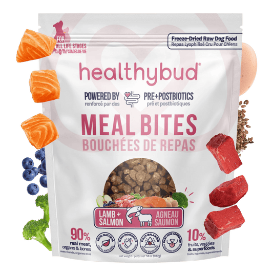 Lamb + Salmon Meal Bites