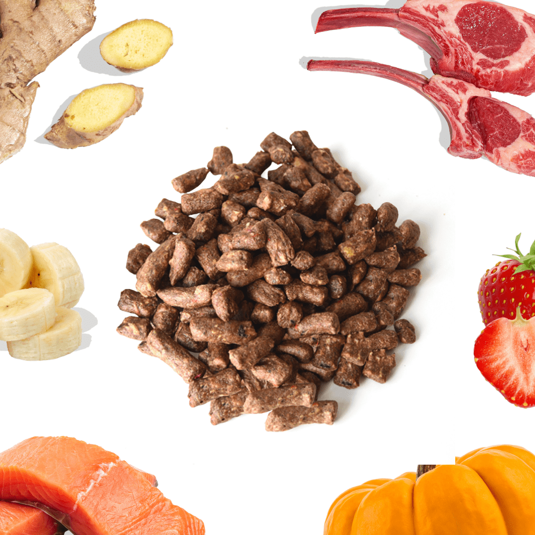Lamb+Salmon Meal Bites