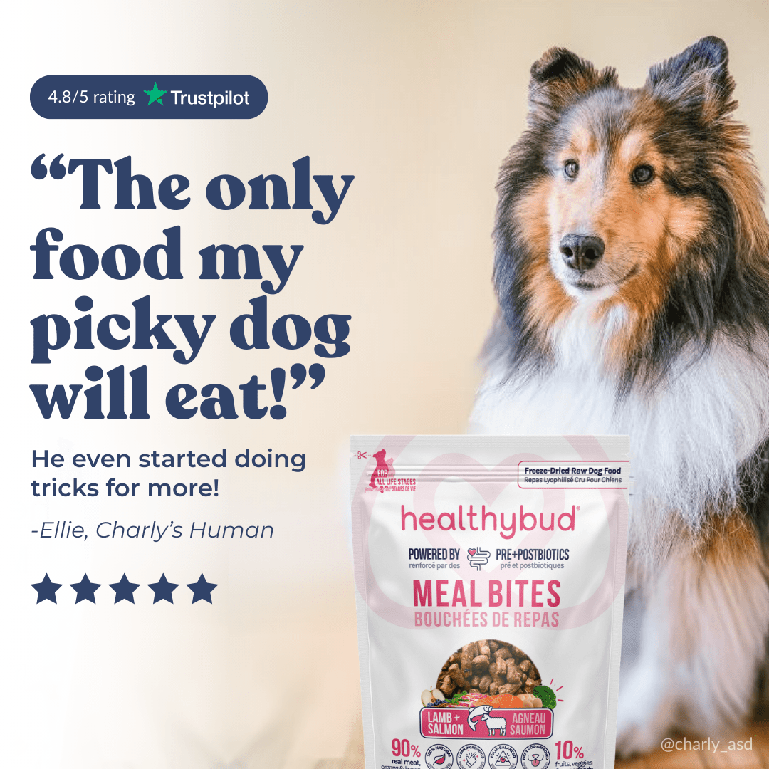 Lamb+Salmon Meal Bites