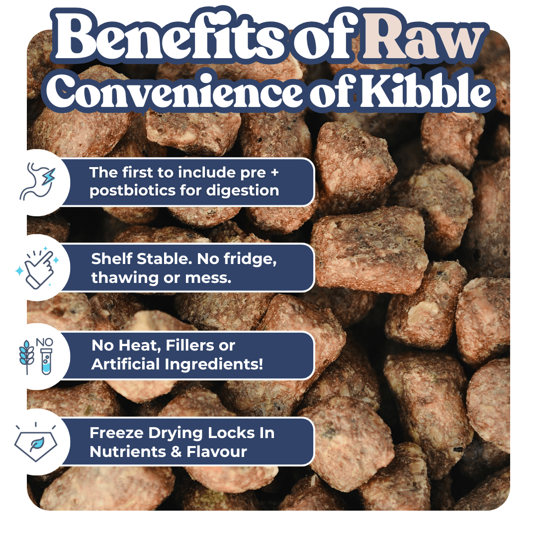 Lamb+Salmon Meal Bites
