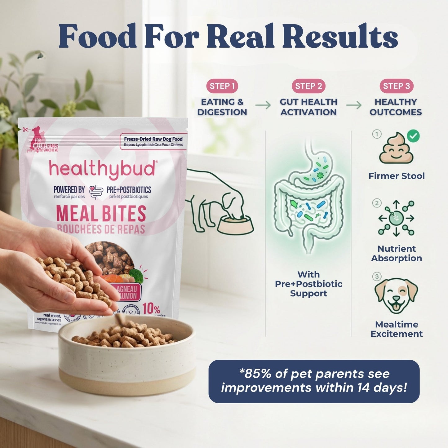 Lamb+Salmon Meal Bites