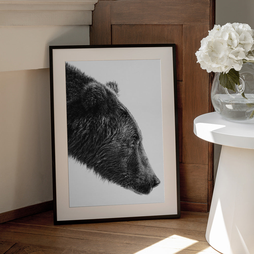 Wall art The Salmon Catcher