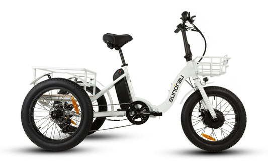 NEW-TRIKE 1.0