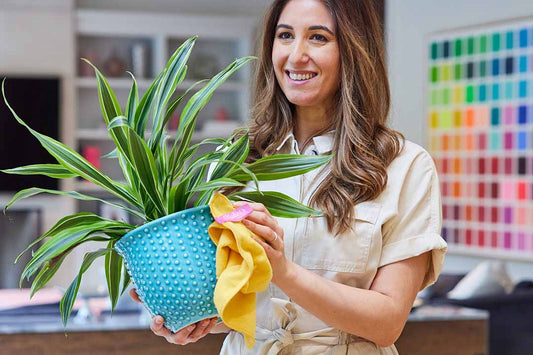 The Original All-Purpose Cleaning Cloth (2-Pack)