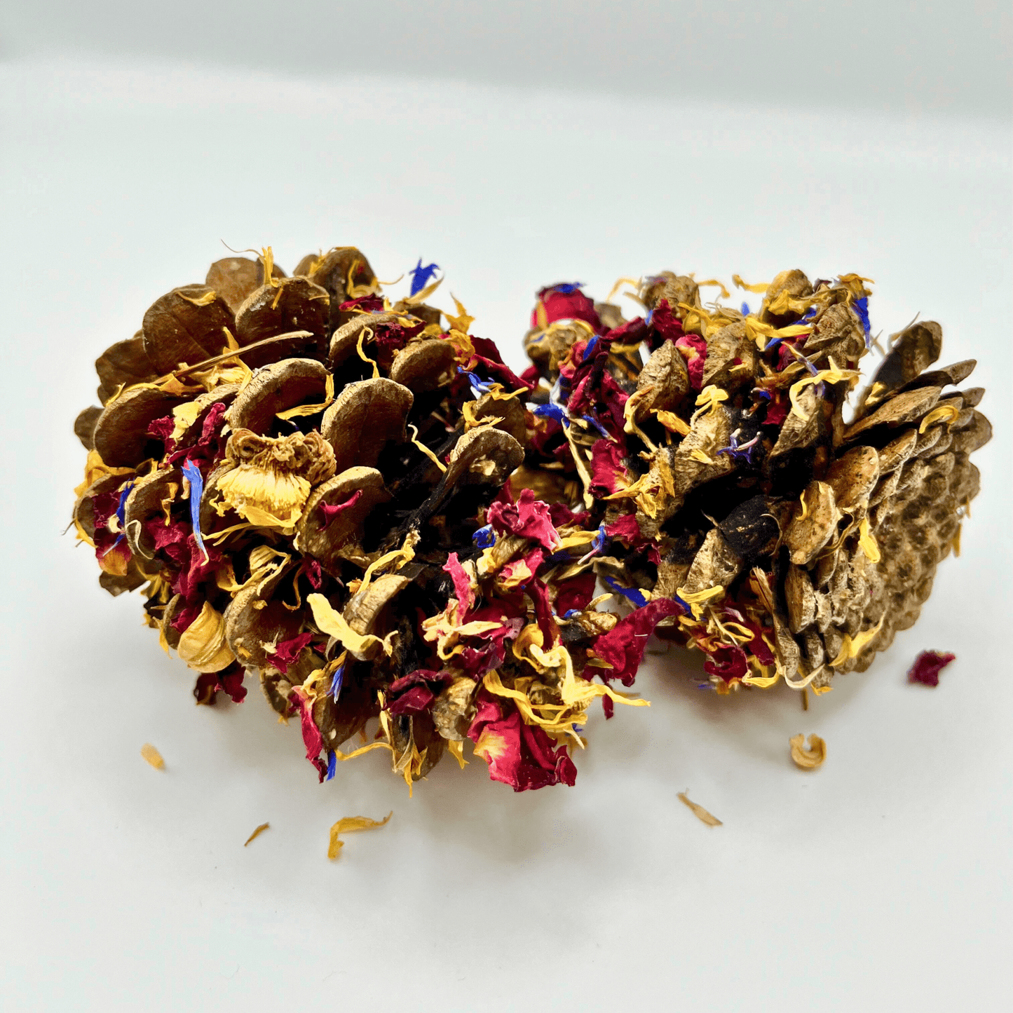 Floral-Dipped Pine Cones