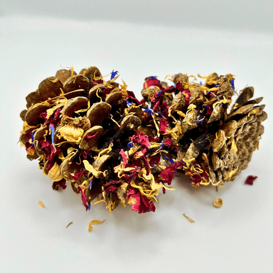Floral-Dipped Pine Cones