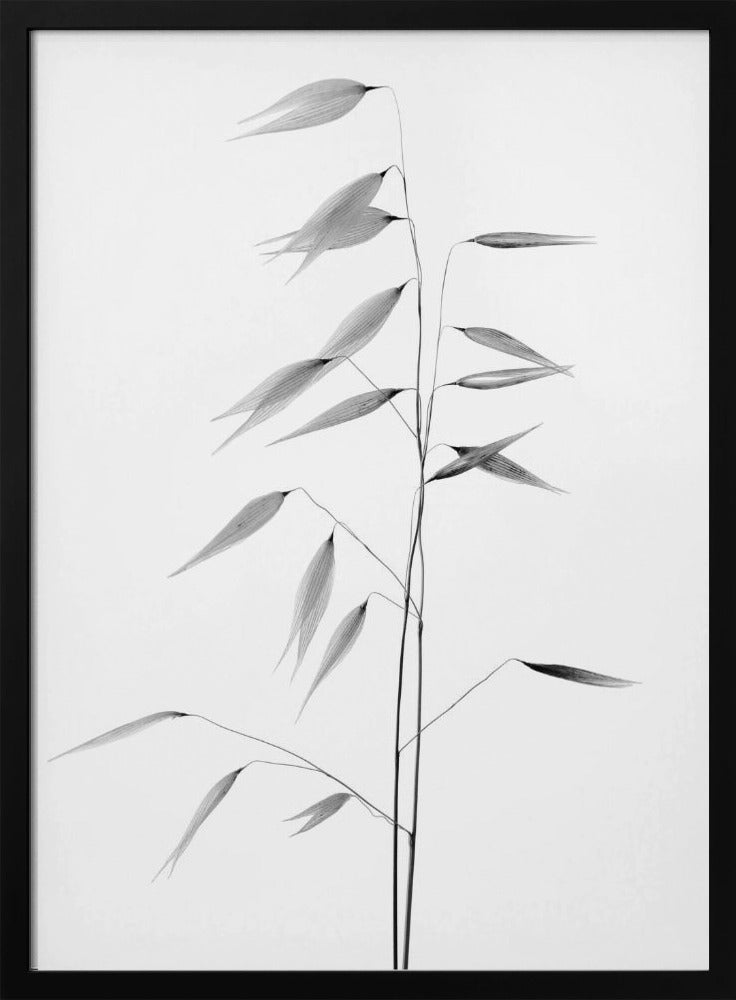 Wall art Sharpness of the nature