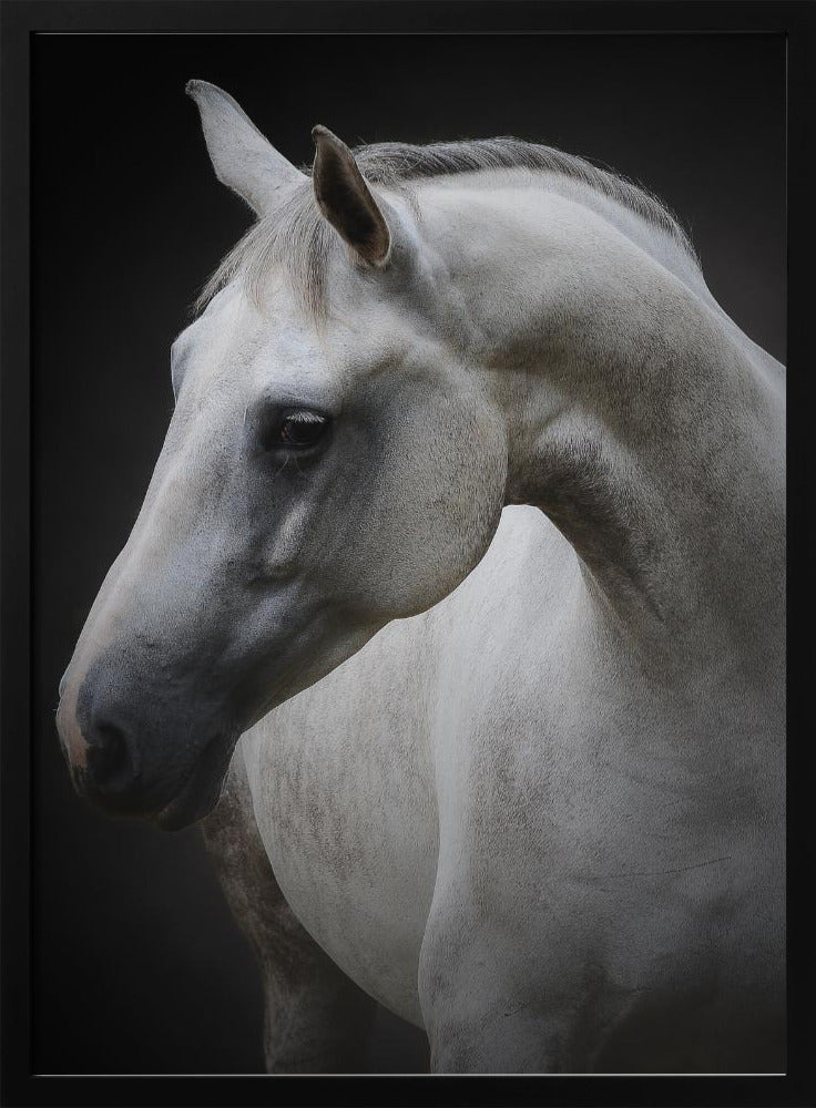 Wall art Maggie. Horse