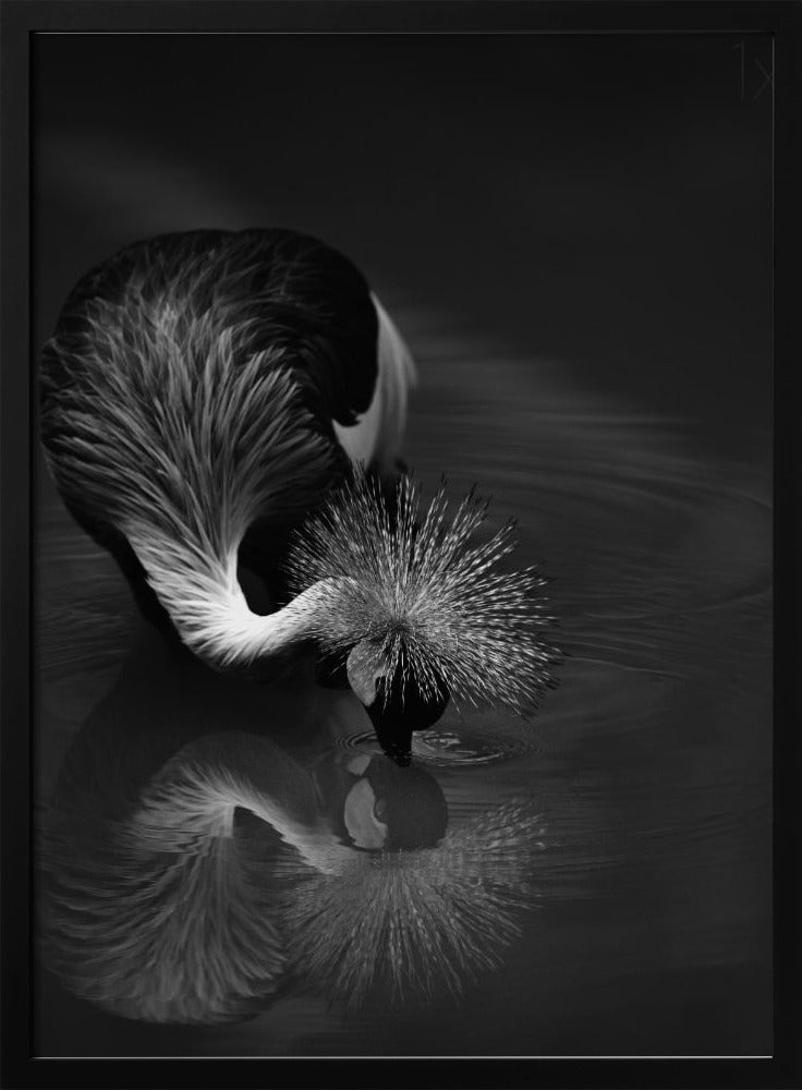 Wall art The reflection