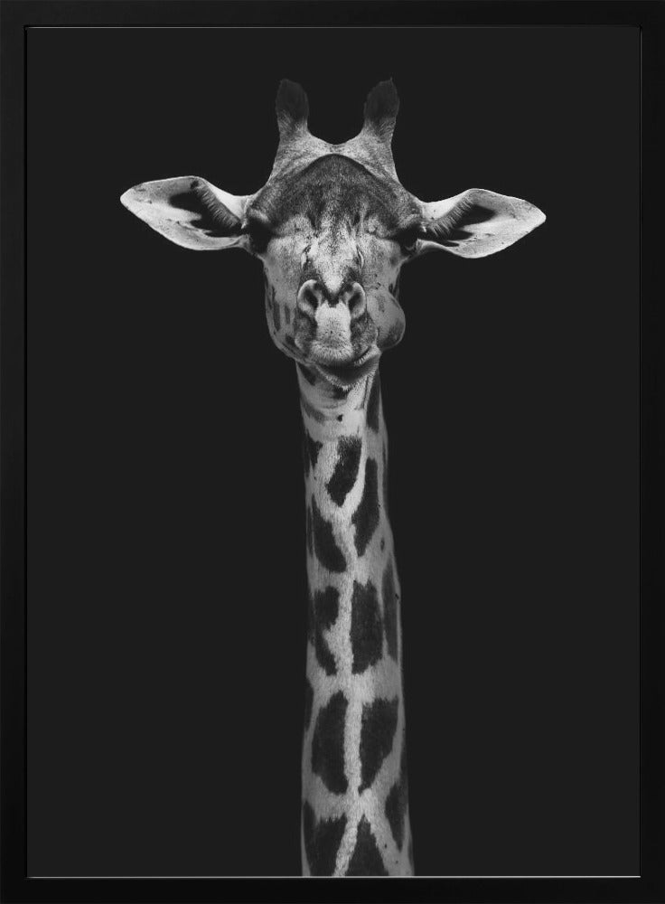 Wall Art Giraffe Portrait