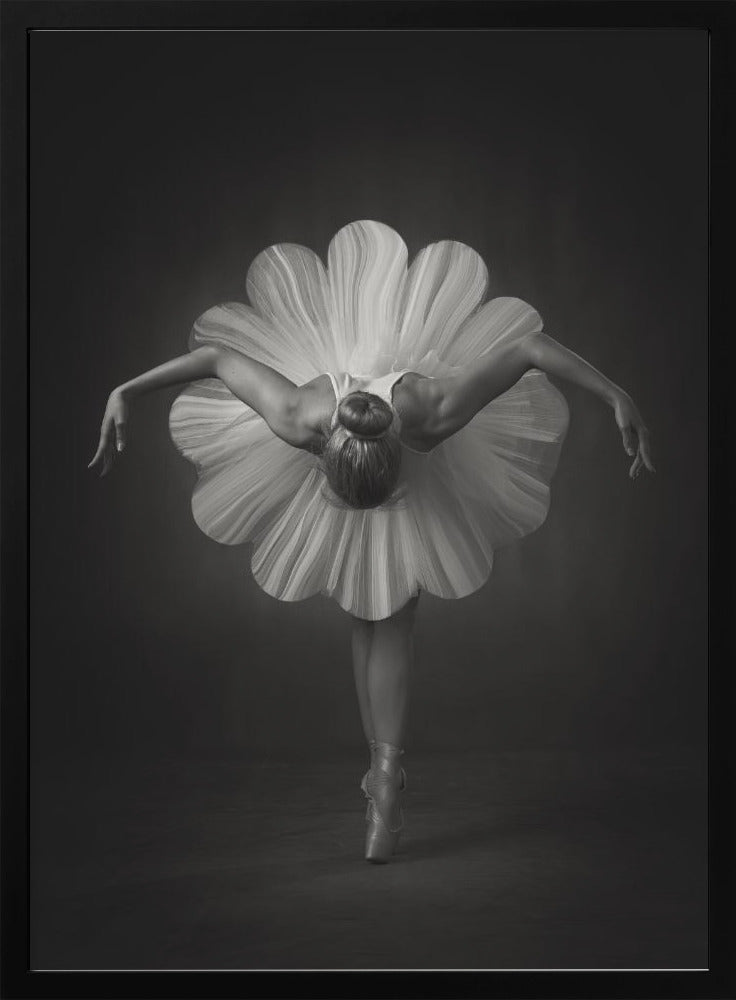 Wall Art Floral Ballet