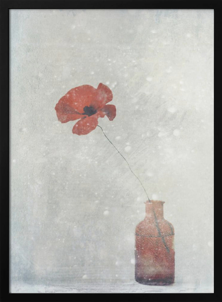 wall art Winter Poppy