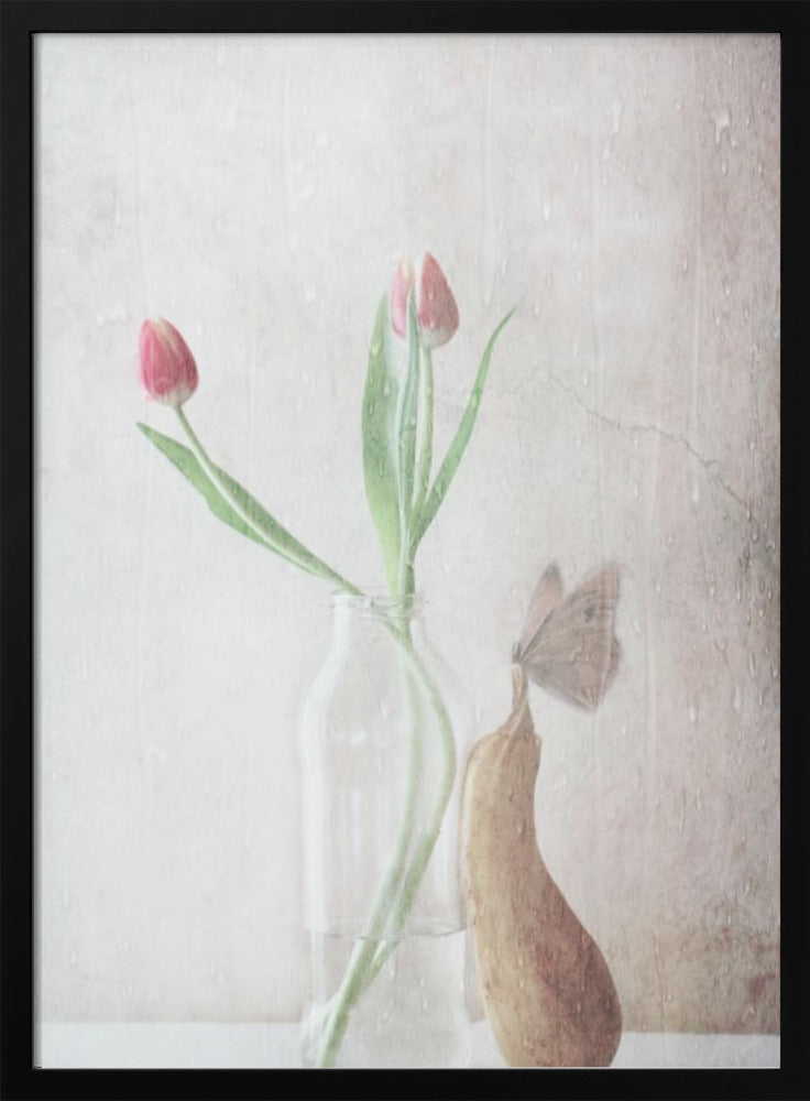 The pitter-patter of the rain