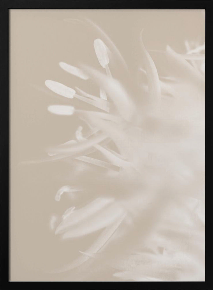 Wall art Flower Beige_1