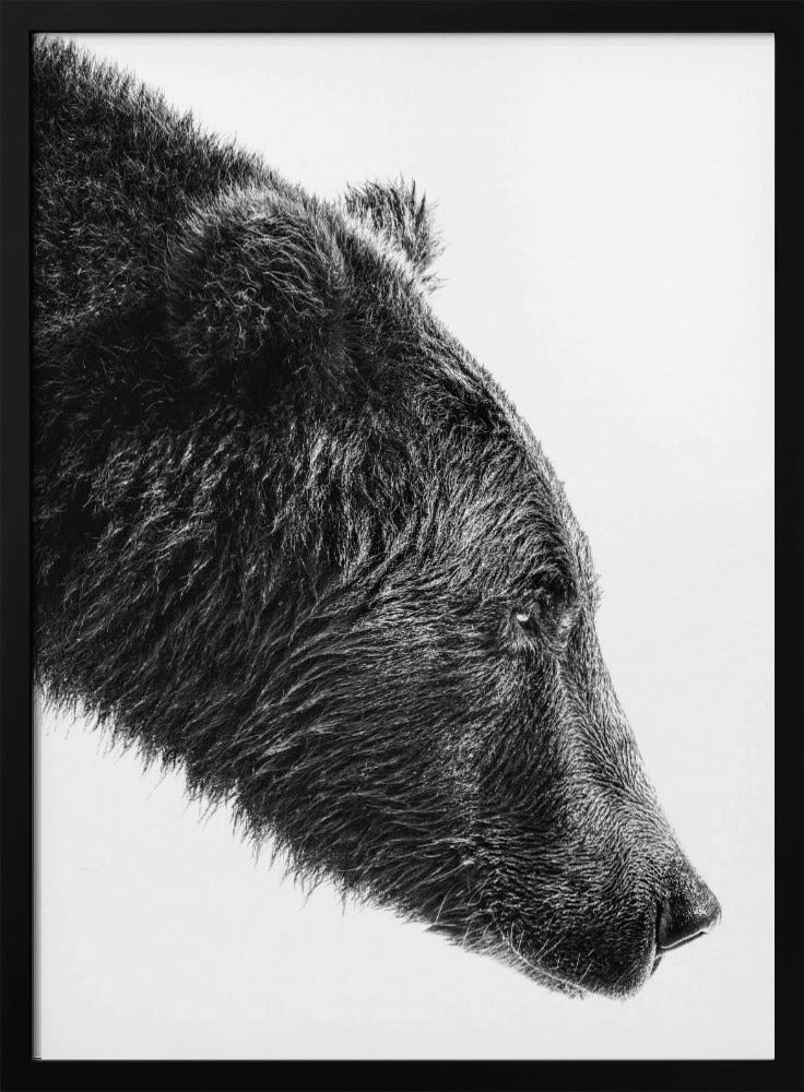 Wall art The Salmon Catcher