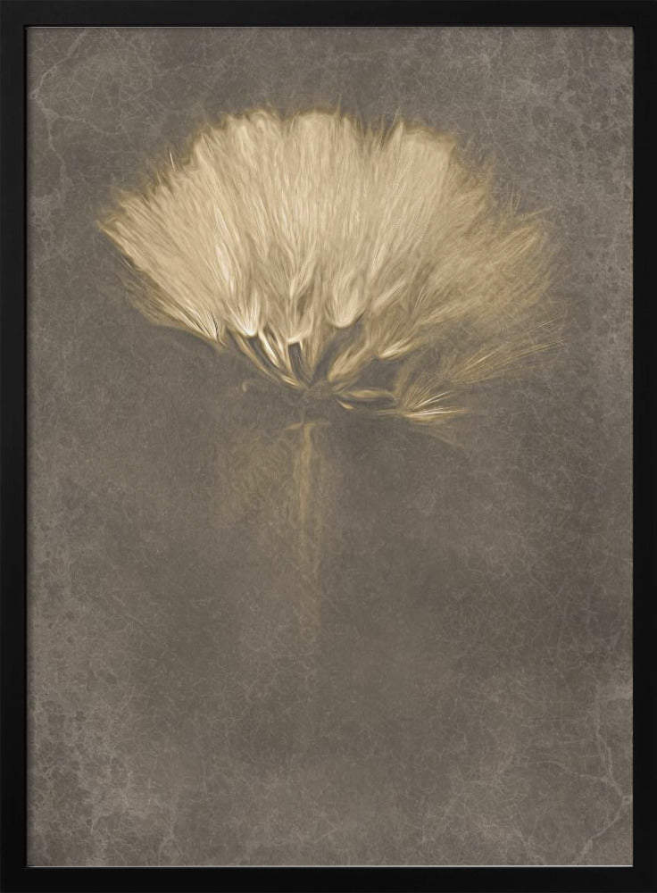 Wall Art Mysterious Days