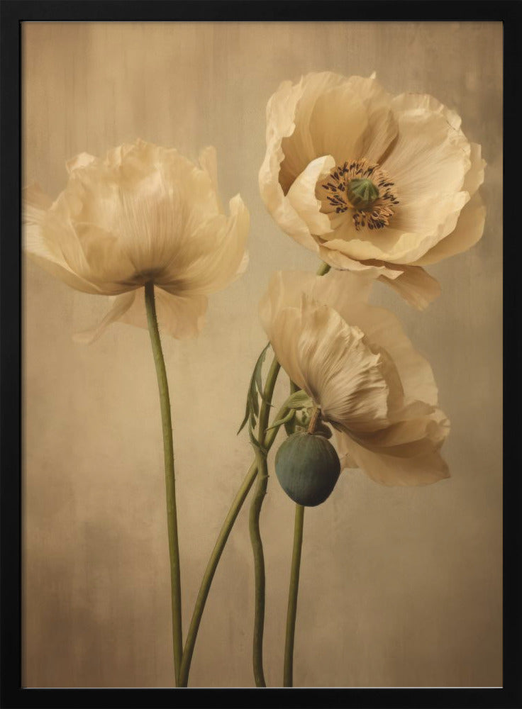Wall Art Poppies 24