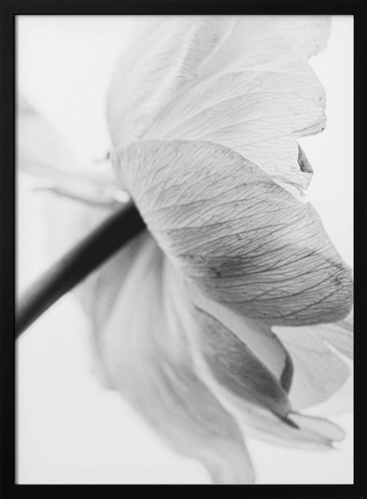 Wall art Blooming Flower Canvas Print