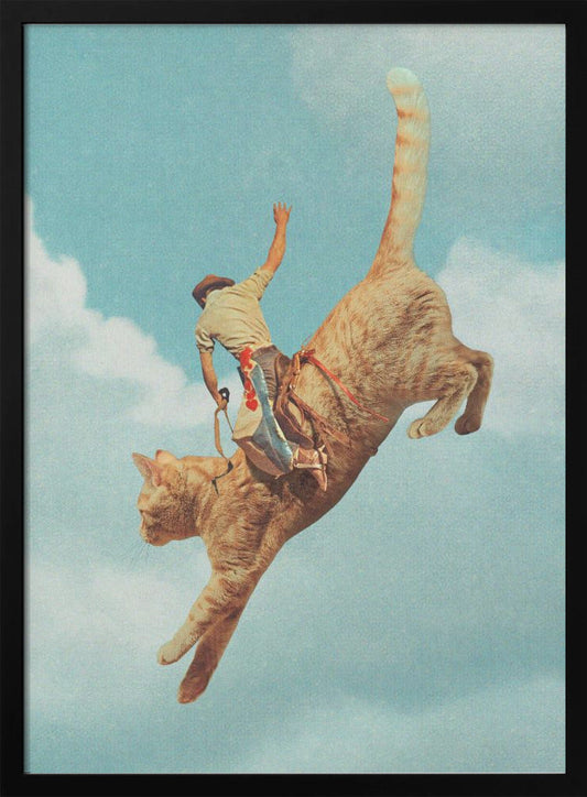 Wall Art Meehaw  Rodio Cat