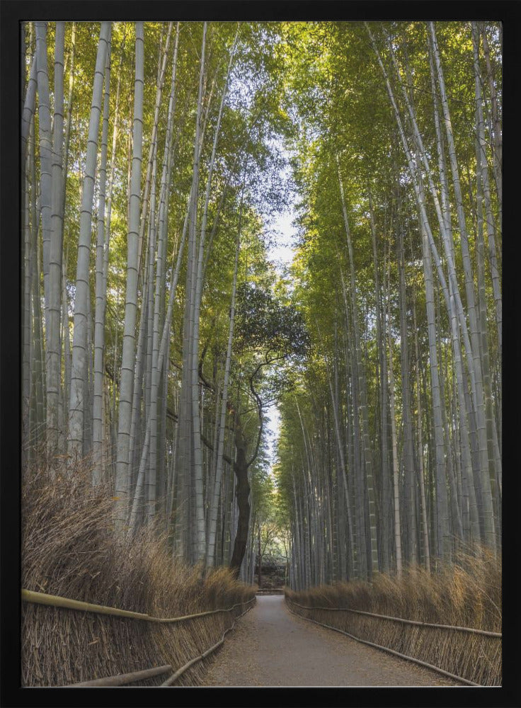 Wall art Mighty Arashiyama bamboo forest