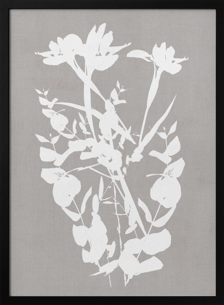 Wall art Botanical Illustration 1