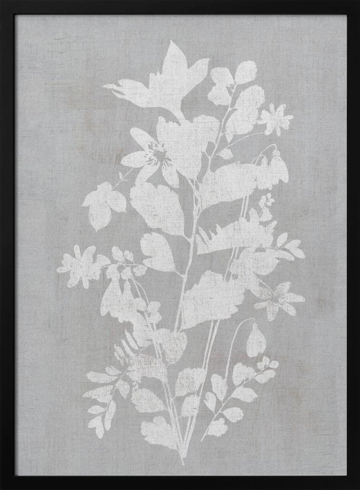 Wall art Botanical Illustration 2