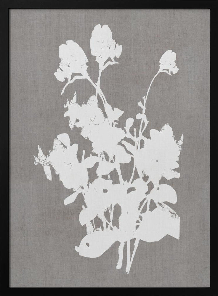 Wall art Botanical Illustration 3