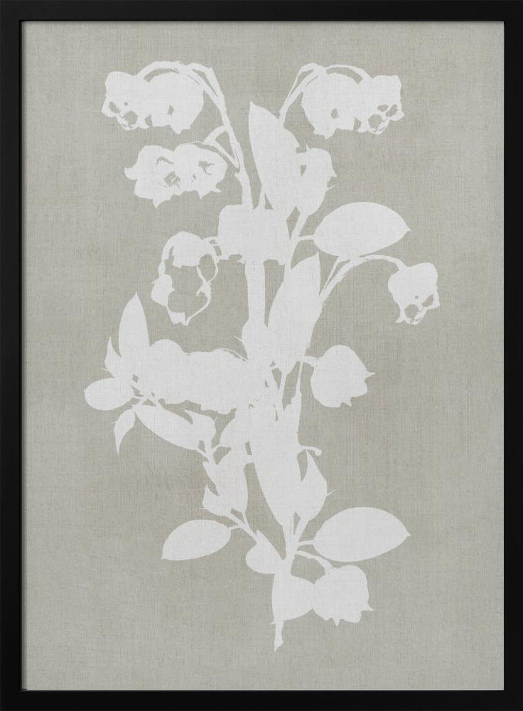 Wall art Botanical Illustration 4