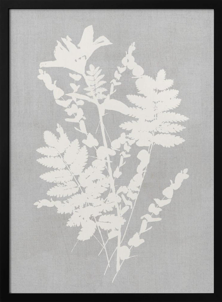 Wall art Botanical Illustration 5