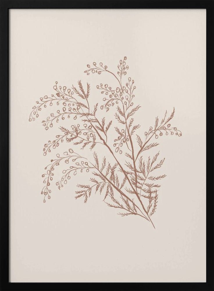 Wall art Acacia Botanical Branch