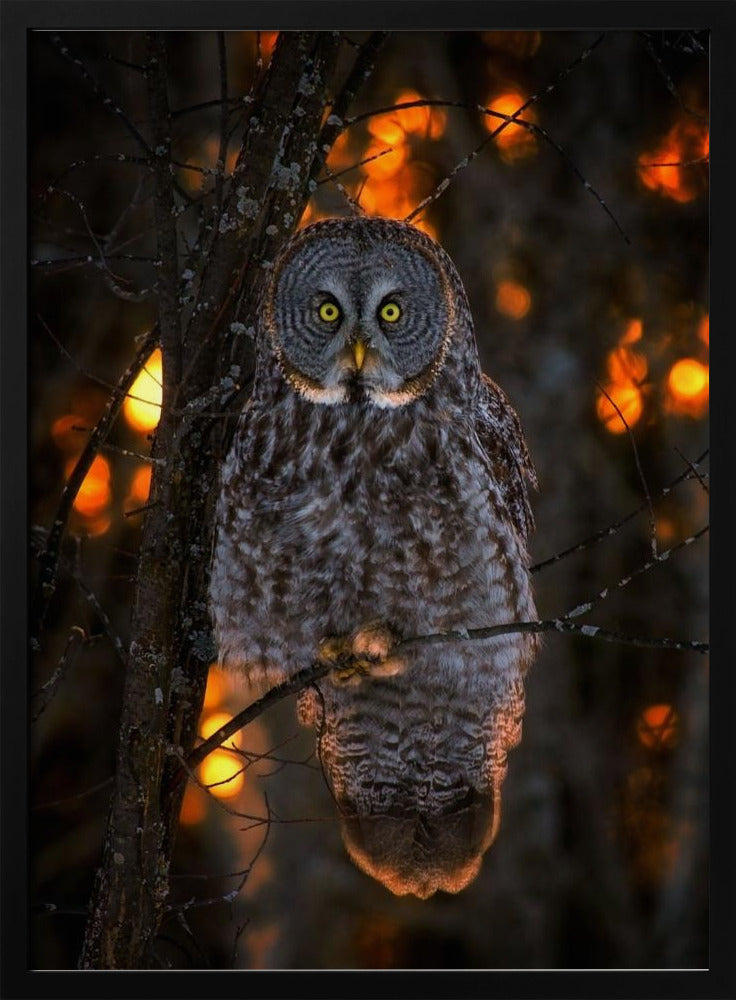 Wall art Solemn Sunset