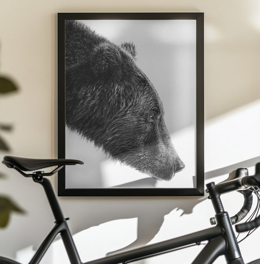 Wall art The Salmon Catcher