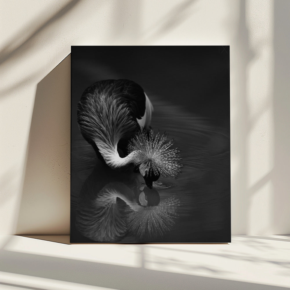 Wall art The reflection