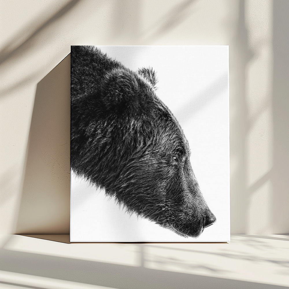 Wall art The Salmon Catcher