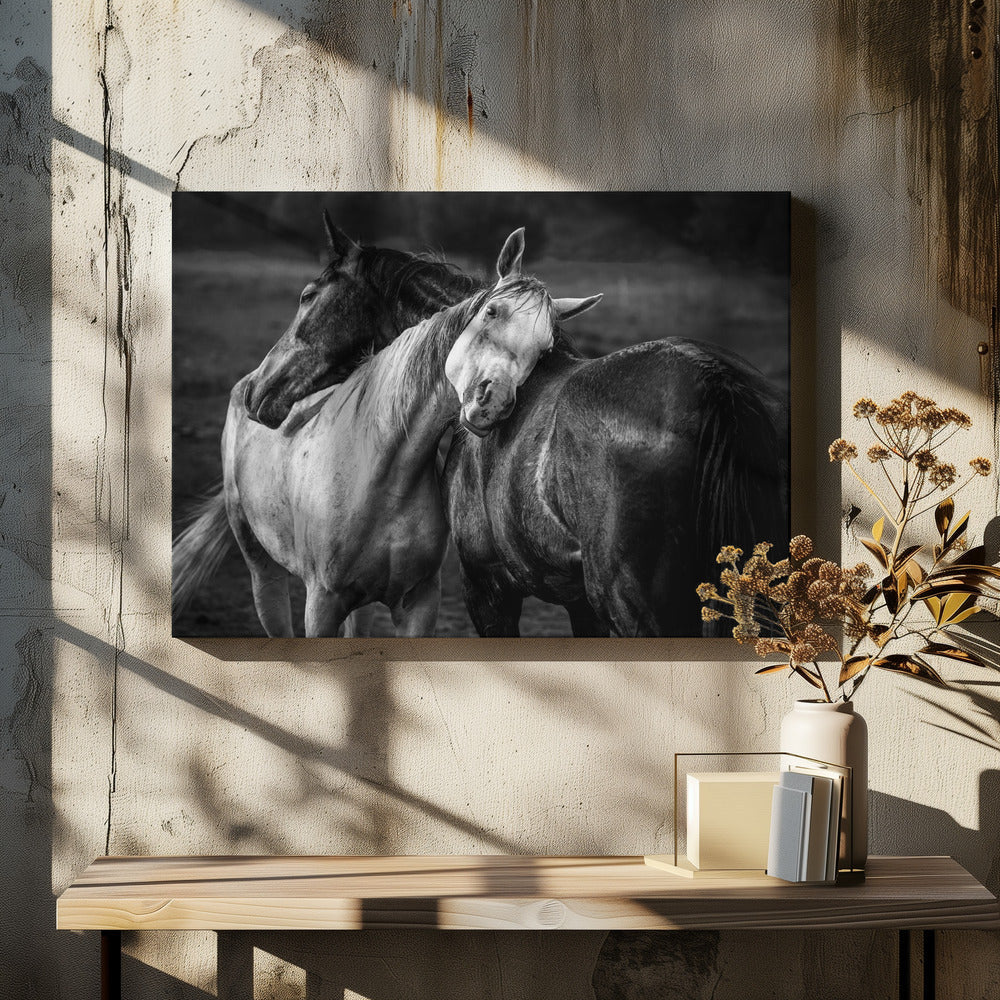 Wall art Warm rain Horses Canvas Print