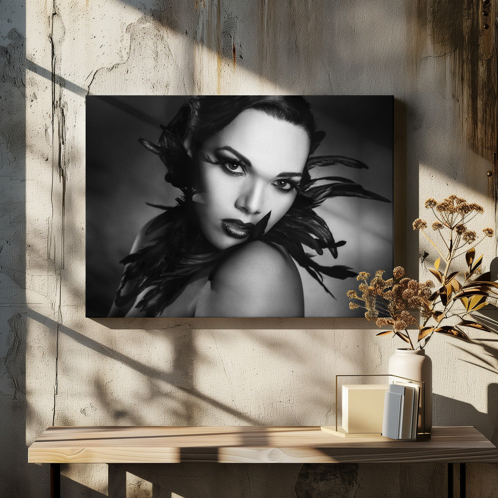 Wall art The black feathers