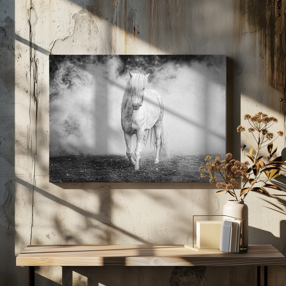 Wall art Icelandic pony