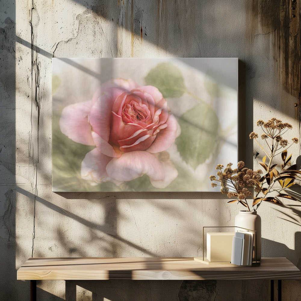 Wall Art smooth rose