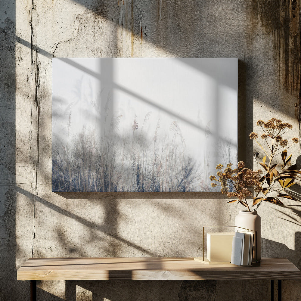 Wall art Landscape of reeds and grass