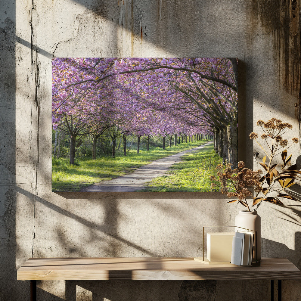 Wall art Idyllic cherry blossom alley