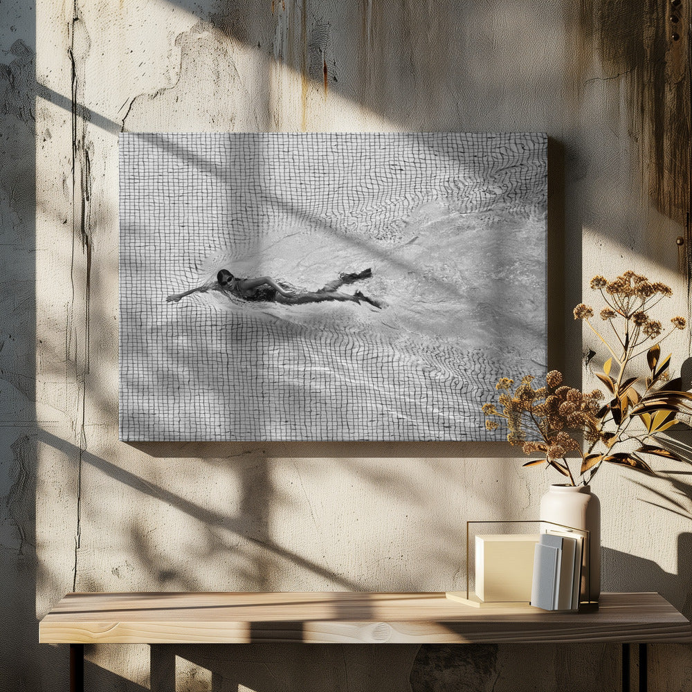 Wall art Breaking the net Canvas Print