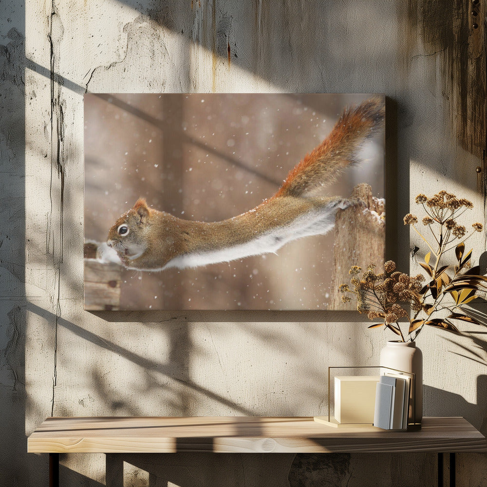 Wall art The Acrobat