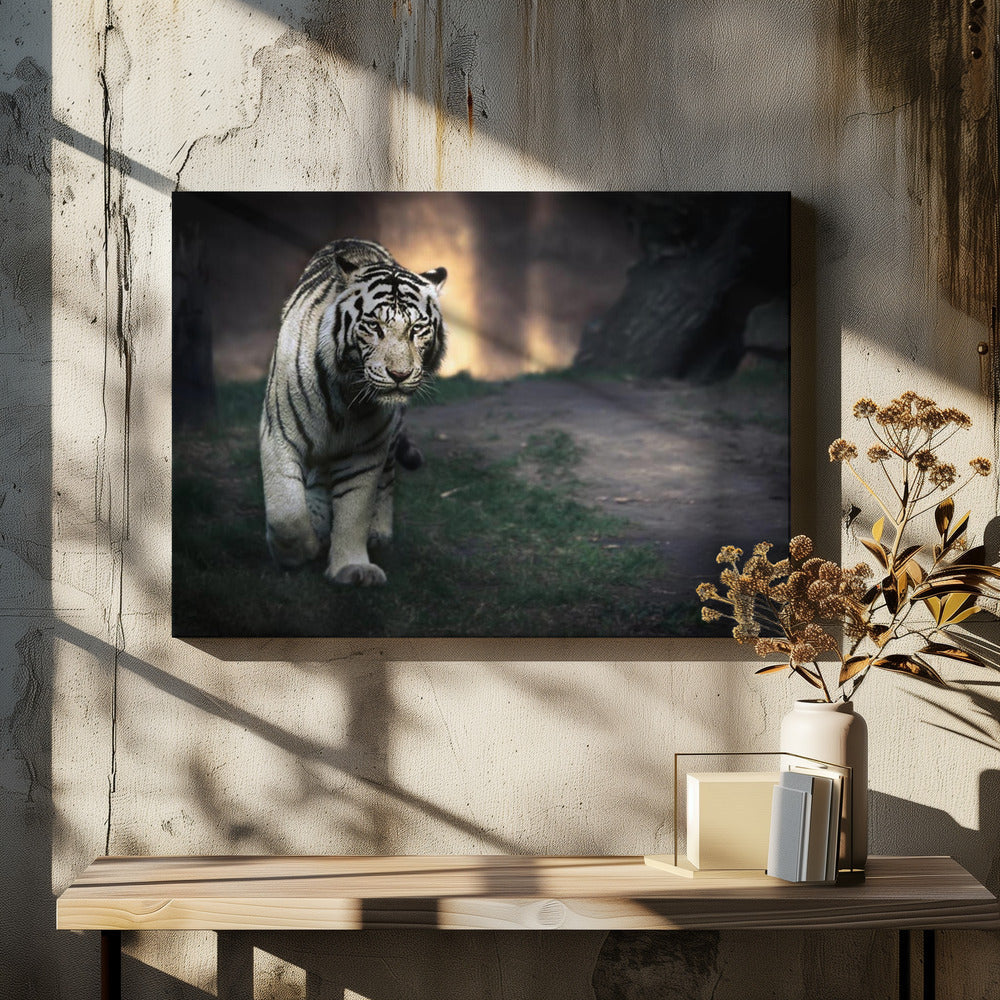 Wall art White walker