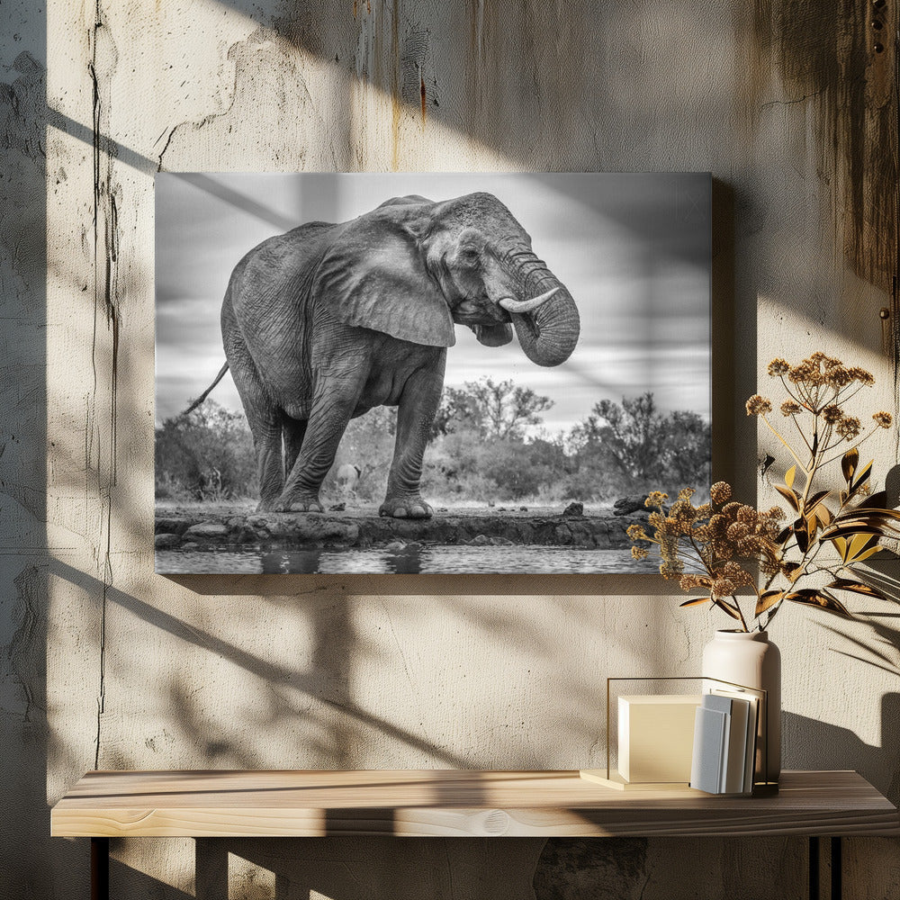 Wall art Standing Proud. Elephant