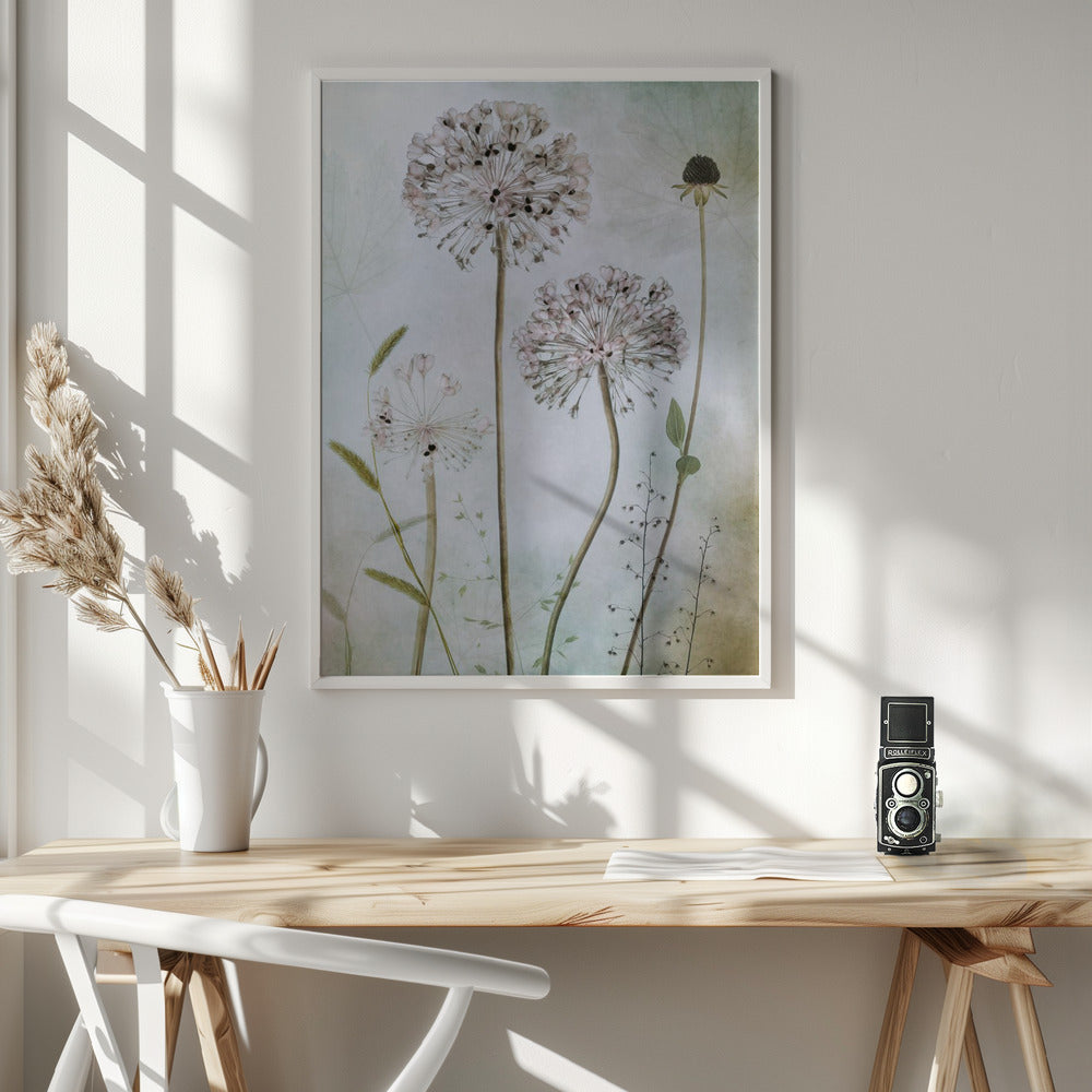 Wall Art Allium